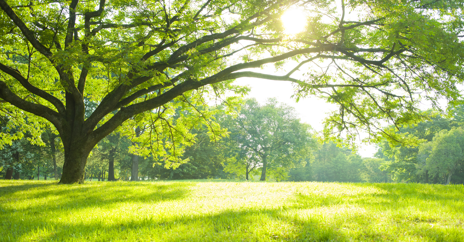 メインビジュアル01（PC）